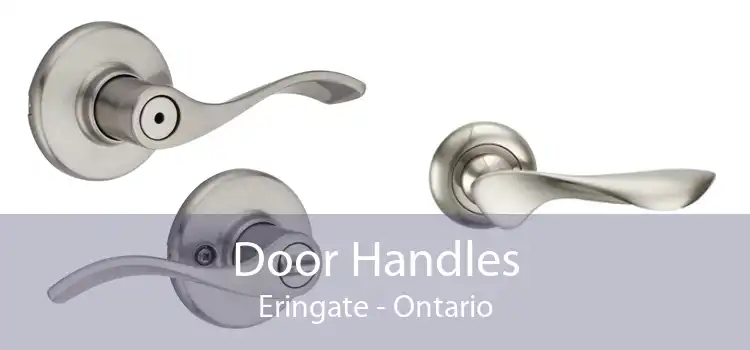 Door Handles Eringate - Ontario