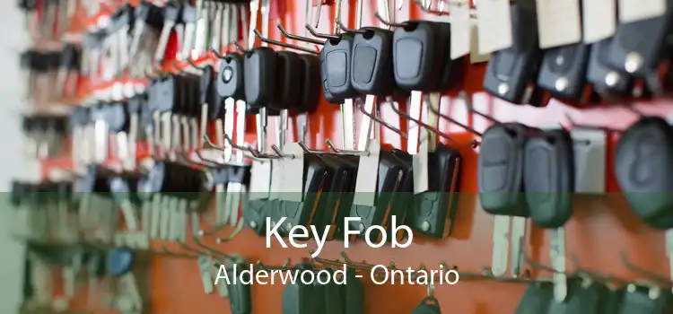 Key Fob Alderwood - Ontario