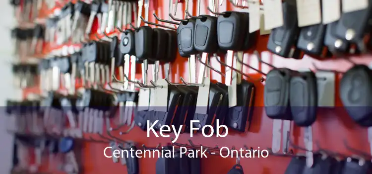 Key Fob Centennial Park - Ontario