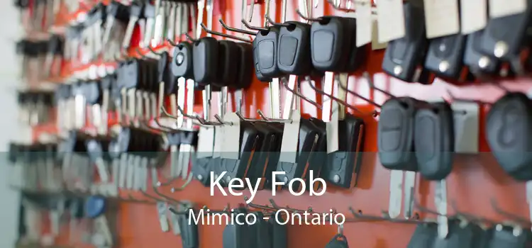 Key Fob Mimico - Ontario