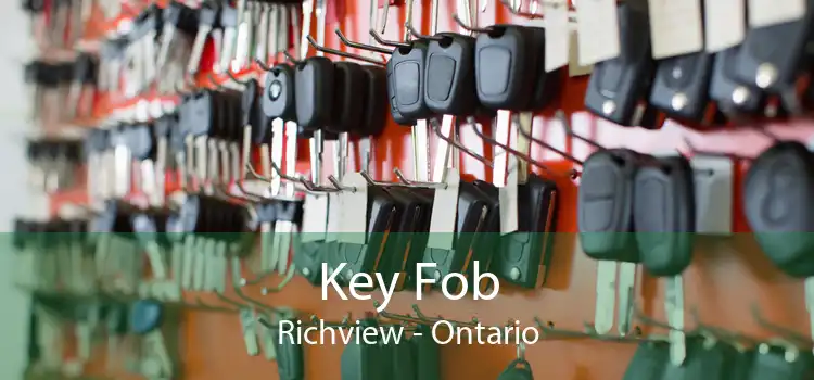 Key Fob Richview - Ontario