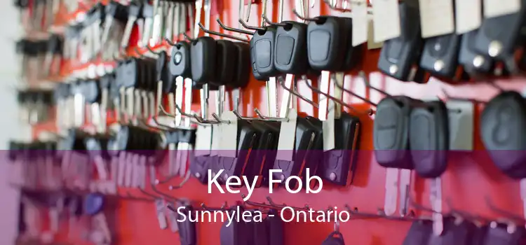 Key Fob Sunnylea - Ontario