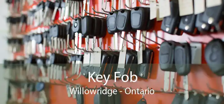 Key Fob Willowridge - Ontario