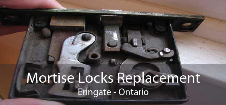 Mortise Locks Replacement Eringate - Ontario