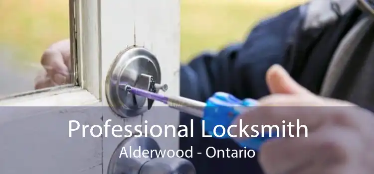 Professional Locksmith Alderwood - Ontario