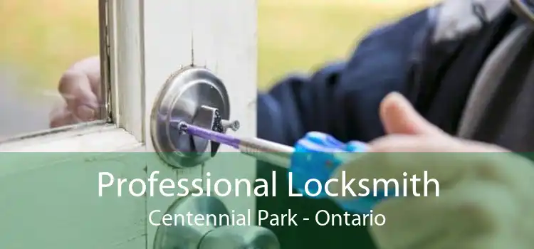 Professional Locksmith Centennial Park - Ontario