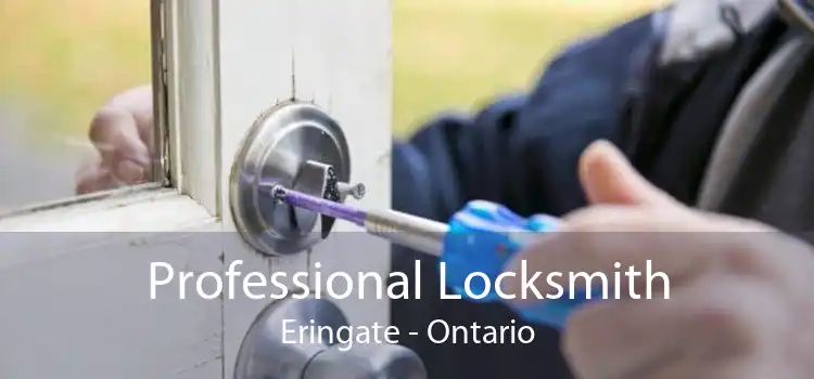 Professional Locksmith Eringate - Ontario