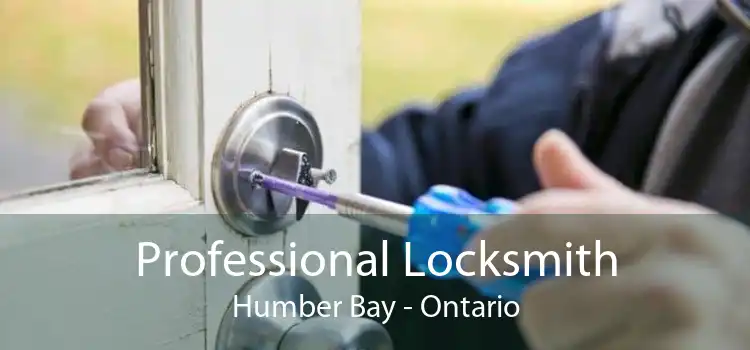 Professional Locksmith Humber Bay - Ontario