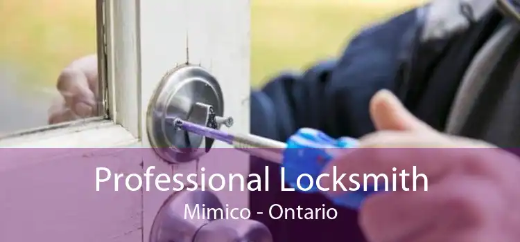 Professional Locksmith Mimico - Ontario
