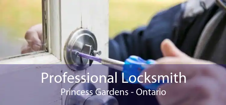 Professional Locksmith Princess Gardens - Ontario