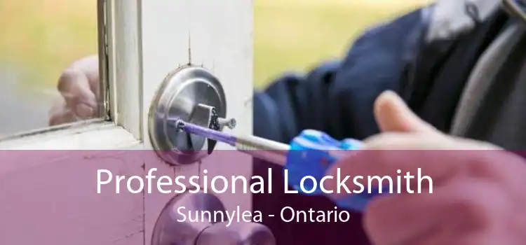 Professional Locksmith Sunnylea - Ontario