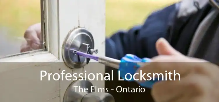 Professional Locksmith The Elms - Ontario