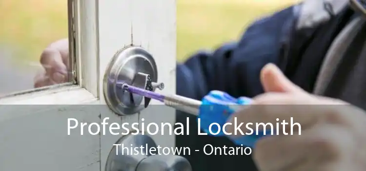 Professional Locksmith Thistletown - Ontario