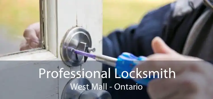 Professional Locksmith West Mall - Ontario