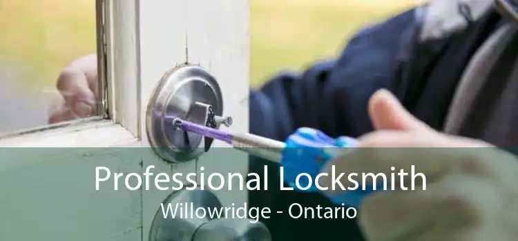 Professional Locksmith Willowridge - Ontario