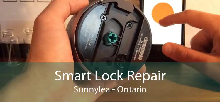 Smart Lock Repair Sunnylea - Ontario